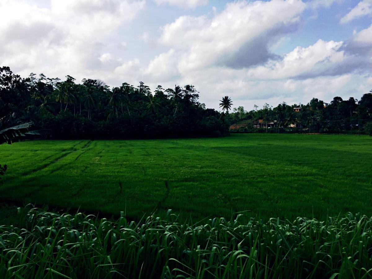 Thaaaru Villa 米瑞莎 外观 照片